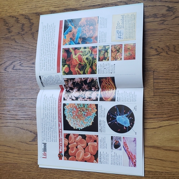 Vintage Y2K Kids Discover Magazine Special 3-Topic Sample Issue - Picture 8 of 11